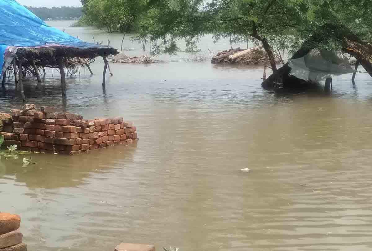 यूपी में बाढ़ का कहर: कानपुर के आसपास के जिलों में उफनाई नदियां, औरैया के 22 गांवों में भरा पानी Flood havoc in UP: Flood situation serious in districts around Kanpur, water filled 22 villages of Auraiya