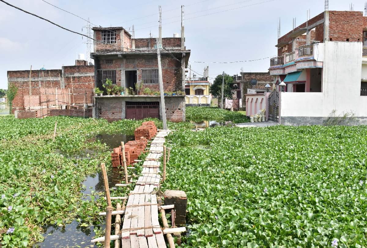 मुसीबत: अब भी जलभराव की समस्या झेल रहे हैं गोरखपुर के लोग, घुटनों तक पानी से होकर कामकाज के लिए जा पा रहे हैं लोग people of Gorakhpur still facing problem of waterlogging due to floods and rains
