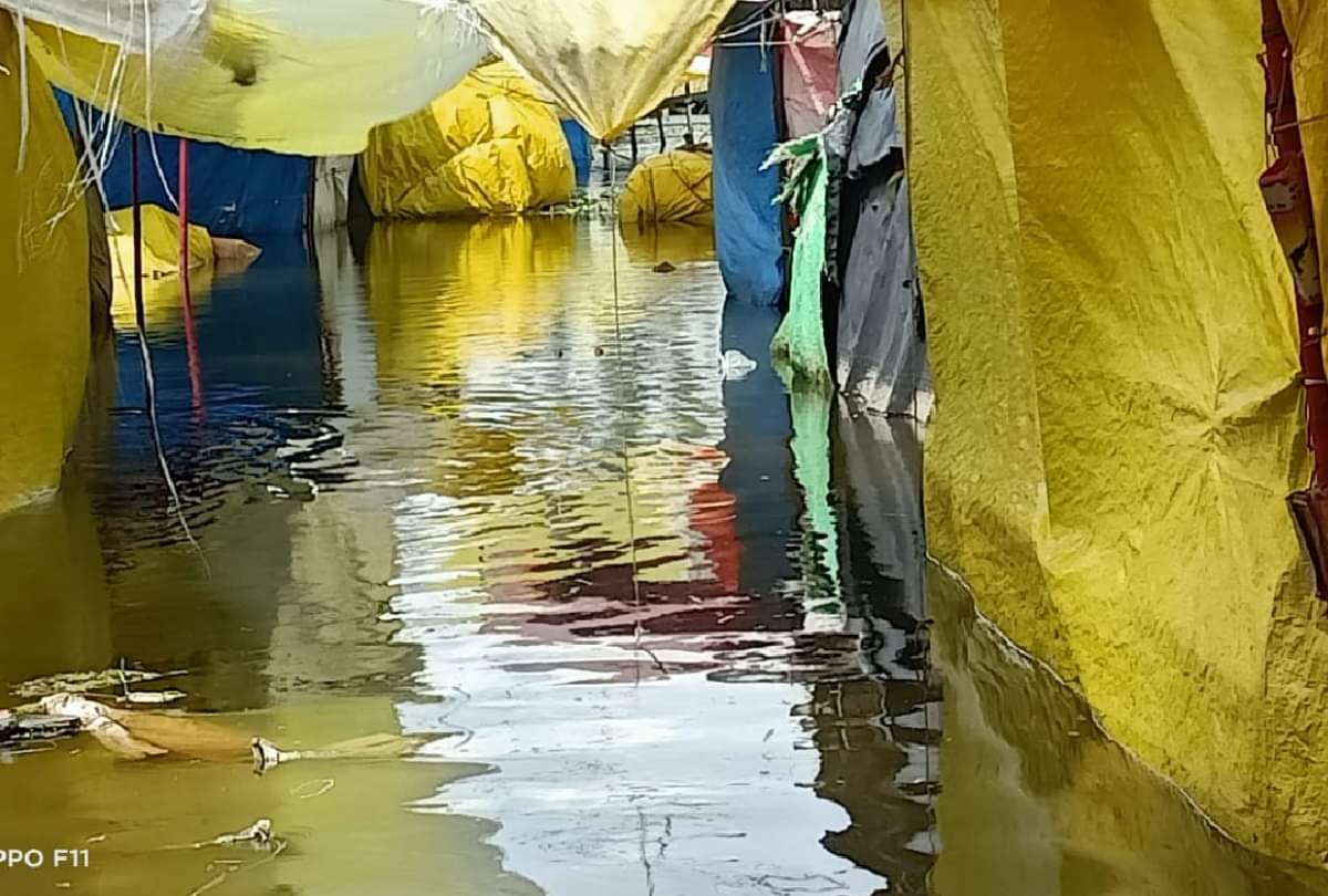 Gorakhpur Flood: ग्रामीणों के सामने खड़ी हुई नई समस्या, बोले- चारे की फसल डूब गई, अब पशुओं को खिलाएं क्या? Gorakhpur Flood Special Story: special story on Gorakhpur Flood problem for animals