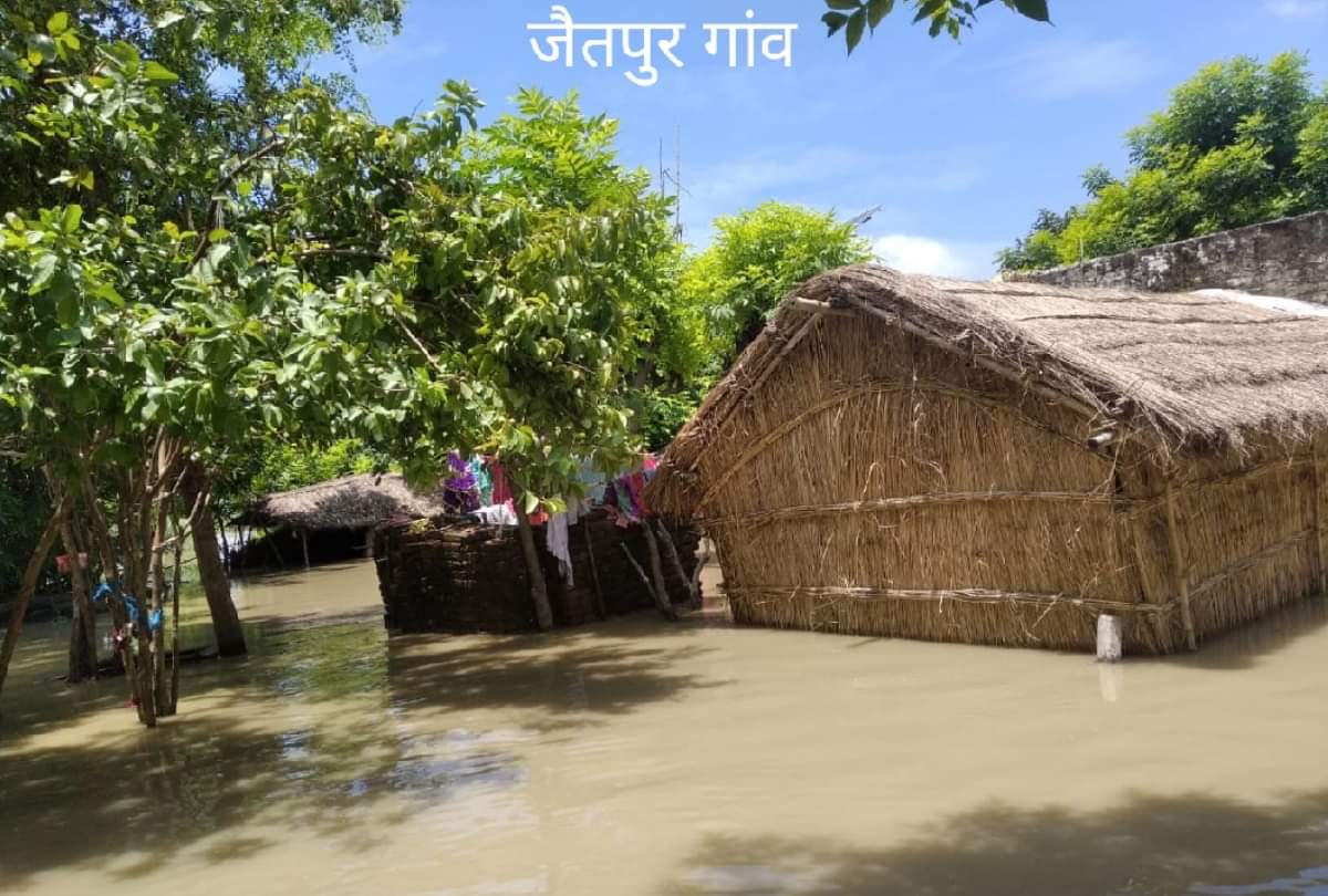 Gorakhpur Flood: ग्रामीणों के सामने खड़ी हुई नई समस्या, बोले- चारे की फसल डूब गई, अब पशुओं को खिलाएं क्या? Gorakhpur Flood Special Story: special story on Gorakhpur Flood problem for animals