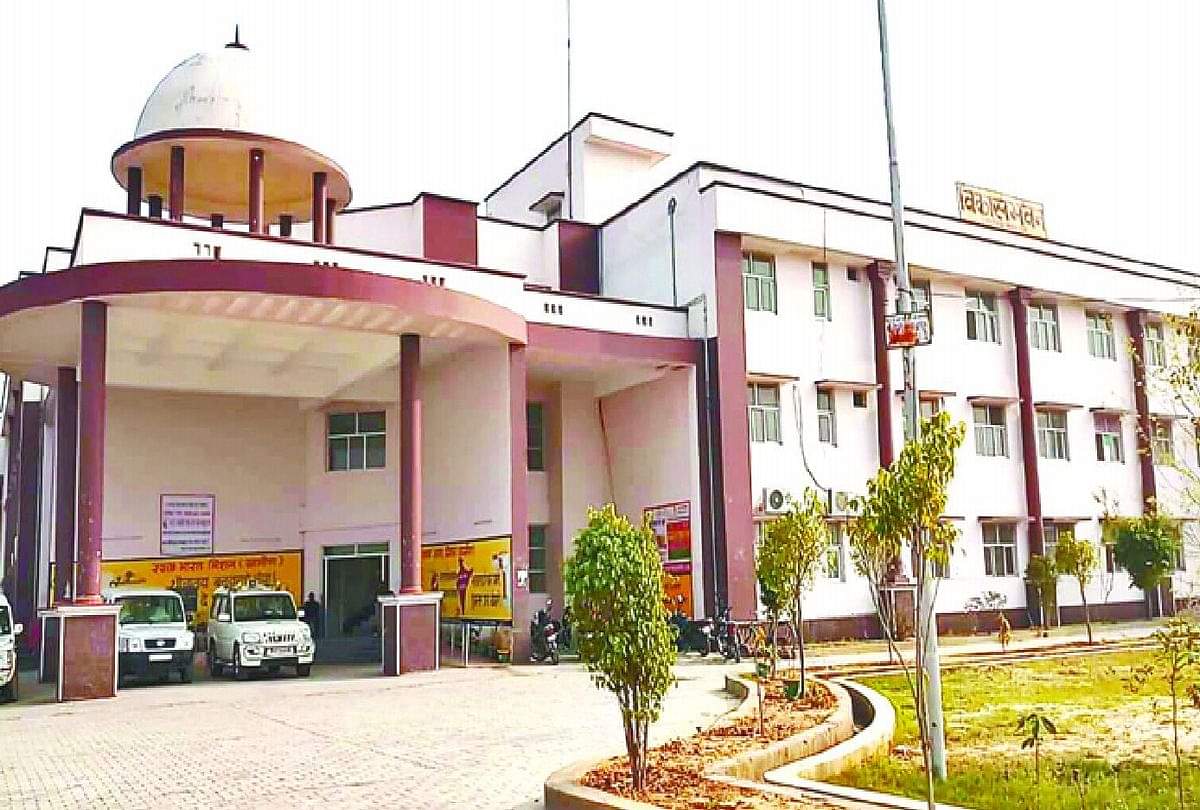 कासगंज: हिरणों को रास आई भागीरथी और गंगावन की आबोहवा, पाड़ा और काला हिरण प्रजाति के हिरणों के दिखे झुंड Deer In Bhagirathi and Gangavan Pada And Black Deer Species Kasganj News