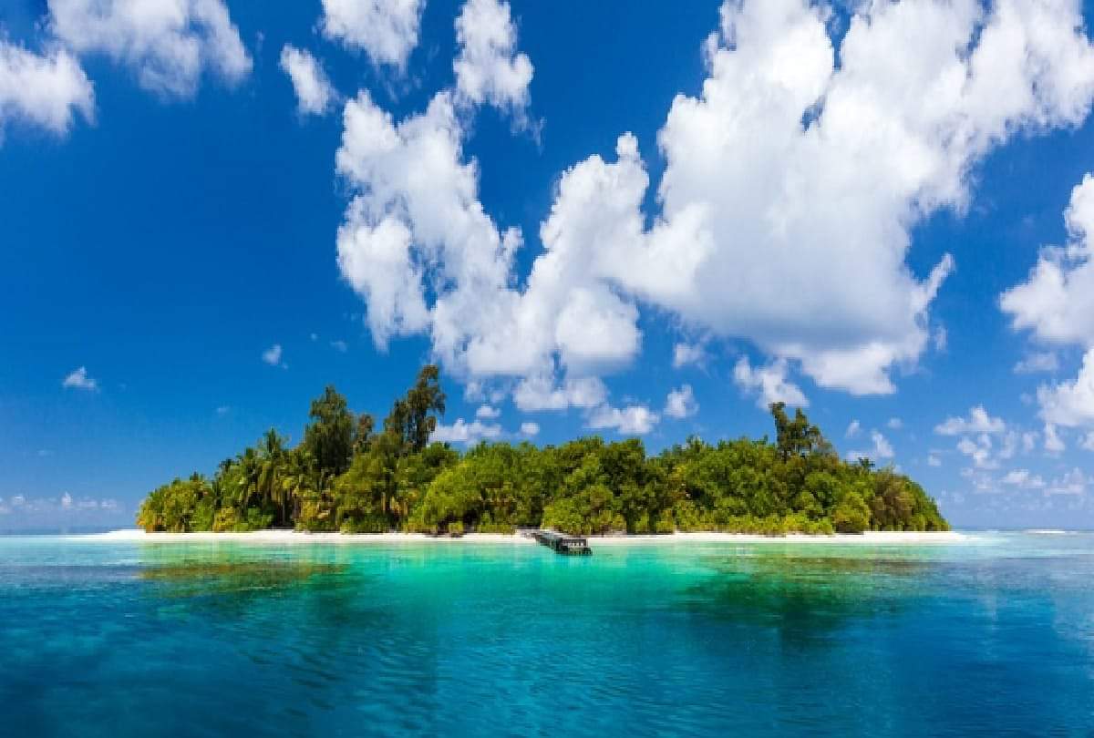 Deadman Island: कहानी एक ऐसे आइलैंड की जहां हर तरफ बिखरी हैं लाशें, जिंदा लोगों के जाने पर है पाबंदी Interesting story of mysterious Deadman island of Kent United Kingdom where corpses are everywhere