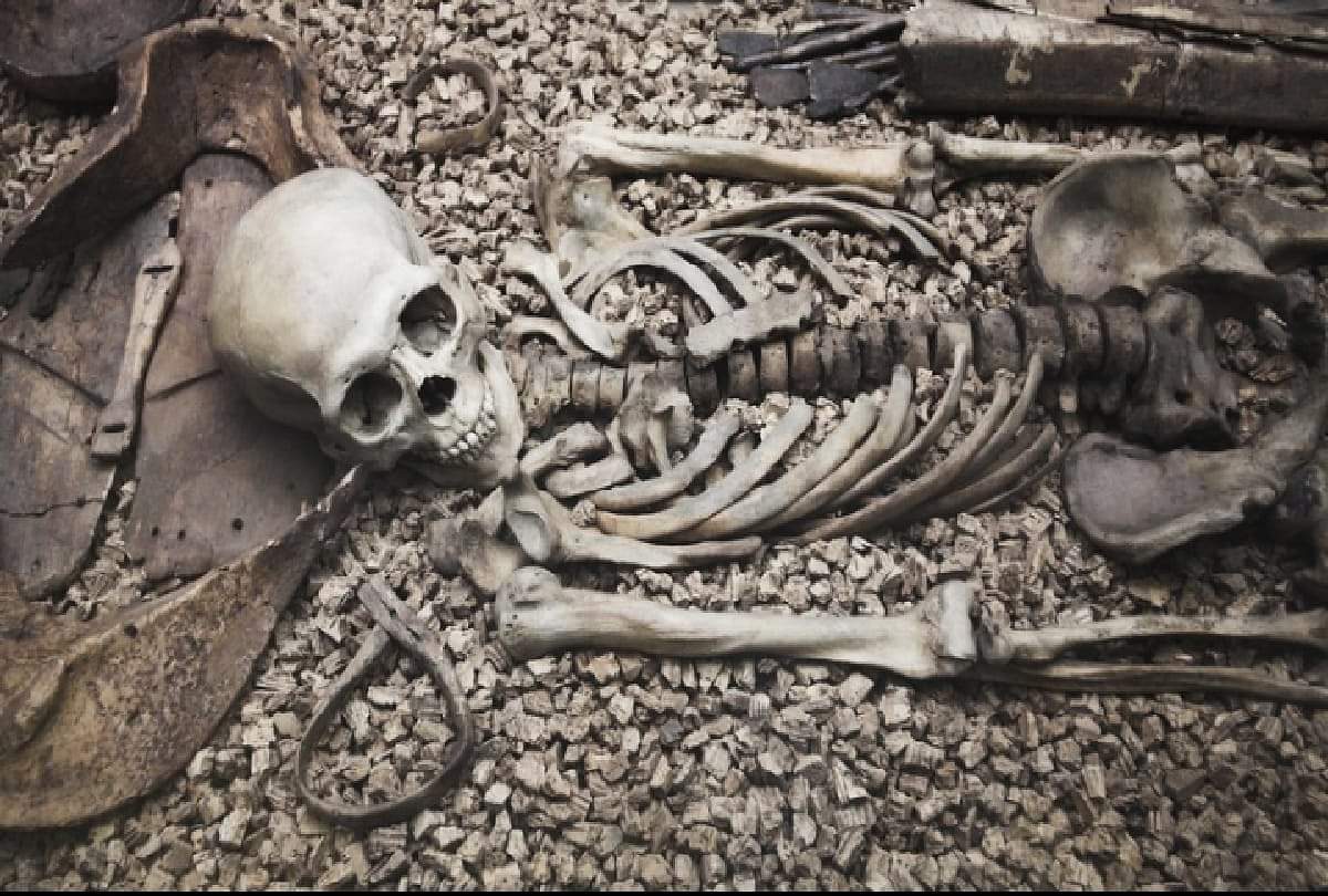 Deadman Island: कहानी एक ऐसे आइलैंड की जहां हर तरफ बिखरी हैं लाशें, जिंदा लोगों के जाने पर है पाबंदी Interesting story of mysterious Deadman island of Kent United Kingdom where corpses are everywhere