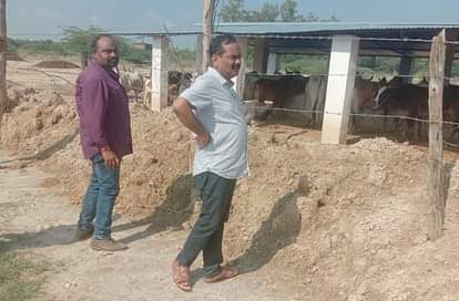 सुम्हारी गोशाला में दो मवेशी मृत मिले other