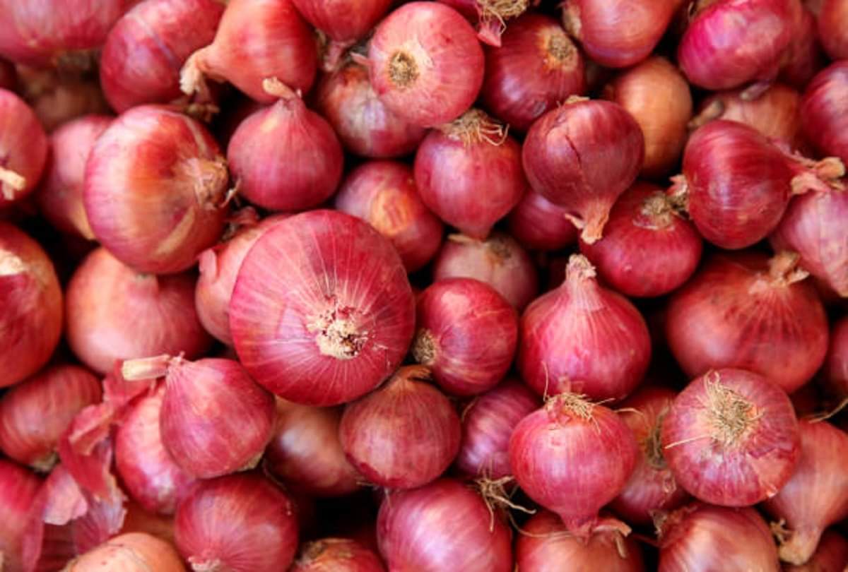 आप कैसे करते हैं प्याज का रखरखाव? ऐसा देसी जुगाड़ देखकर हो जाएंगे हैरान onion cleaning by machine after watching desi jugad you will be shocked