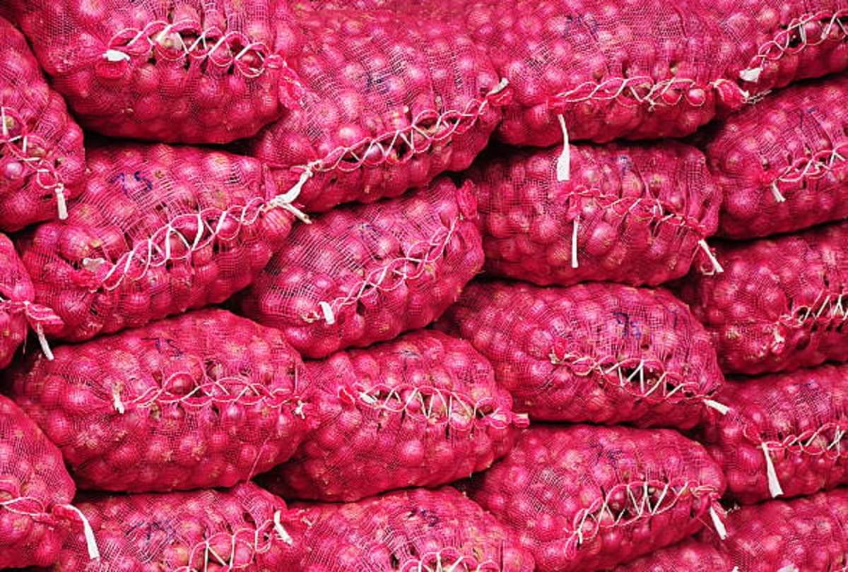 आप कैसे करते हैं प्याज का रखरखाव? ऐसा देसी जुगाड़ देखकर हो जाएंगे हैरान onion cleaning by machine after watching desi jugad you will be shocked