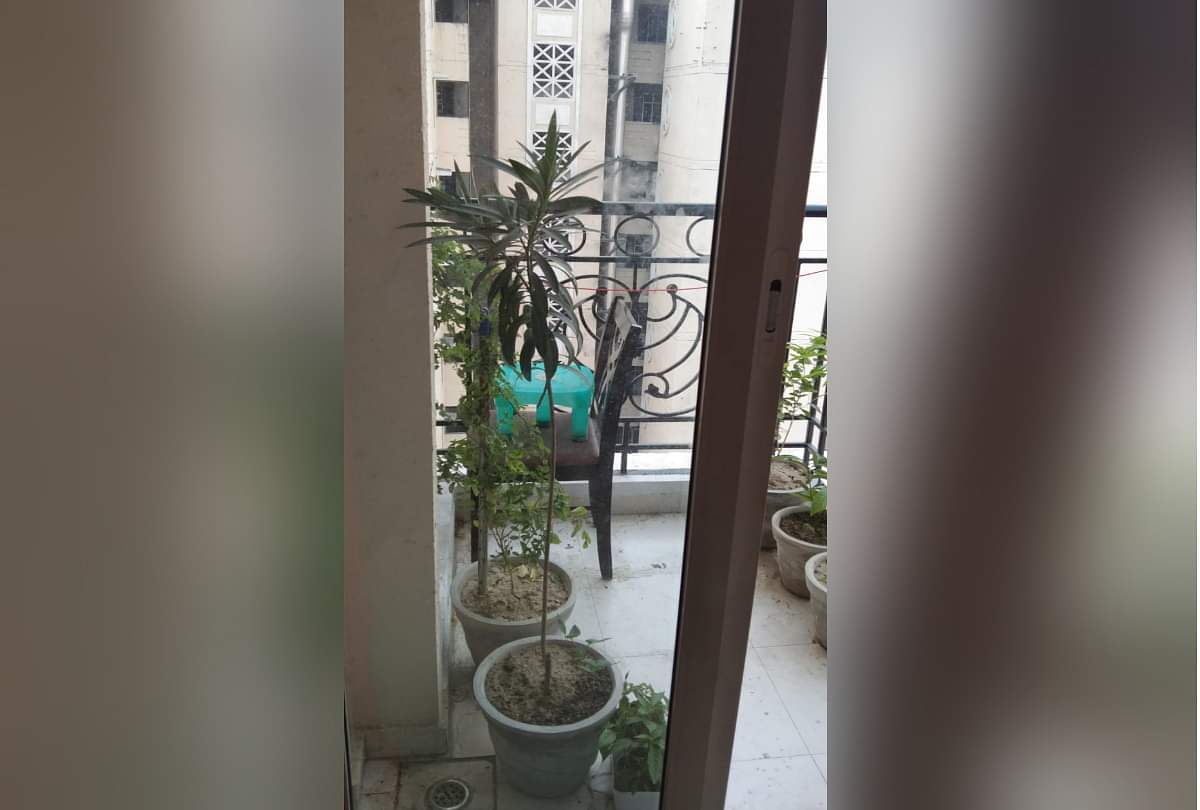 जुड़वां भाई मौत मामला: छिपकली देखते ही मारने के लिए झपटते थे दोनों, घंटों बालकनी पर खड़े होकर देखा करते थे चांद Ghaziabad twin death case Twin brothers swooped to kill lizard on sight