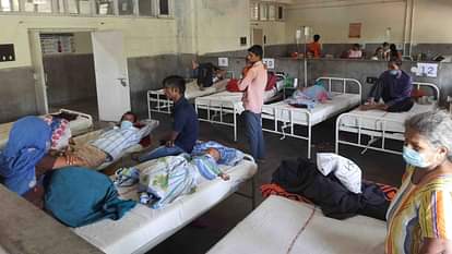 डेंगू के 39 नए मरीज मिले, छह ठीक होकर घर लौटे 39 new dengue patients found, six recovered and returned home