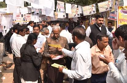बार एसोसिएशन चुनाव के लिए डाले गए वोट unnao news