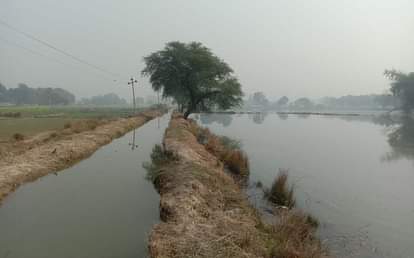 माइनर कटने से सैकडों बीघे फसल डूबी Hundreds of bighas of crop submerged due to minor cutting