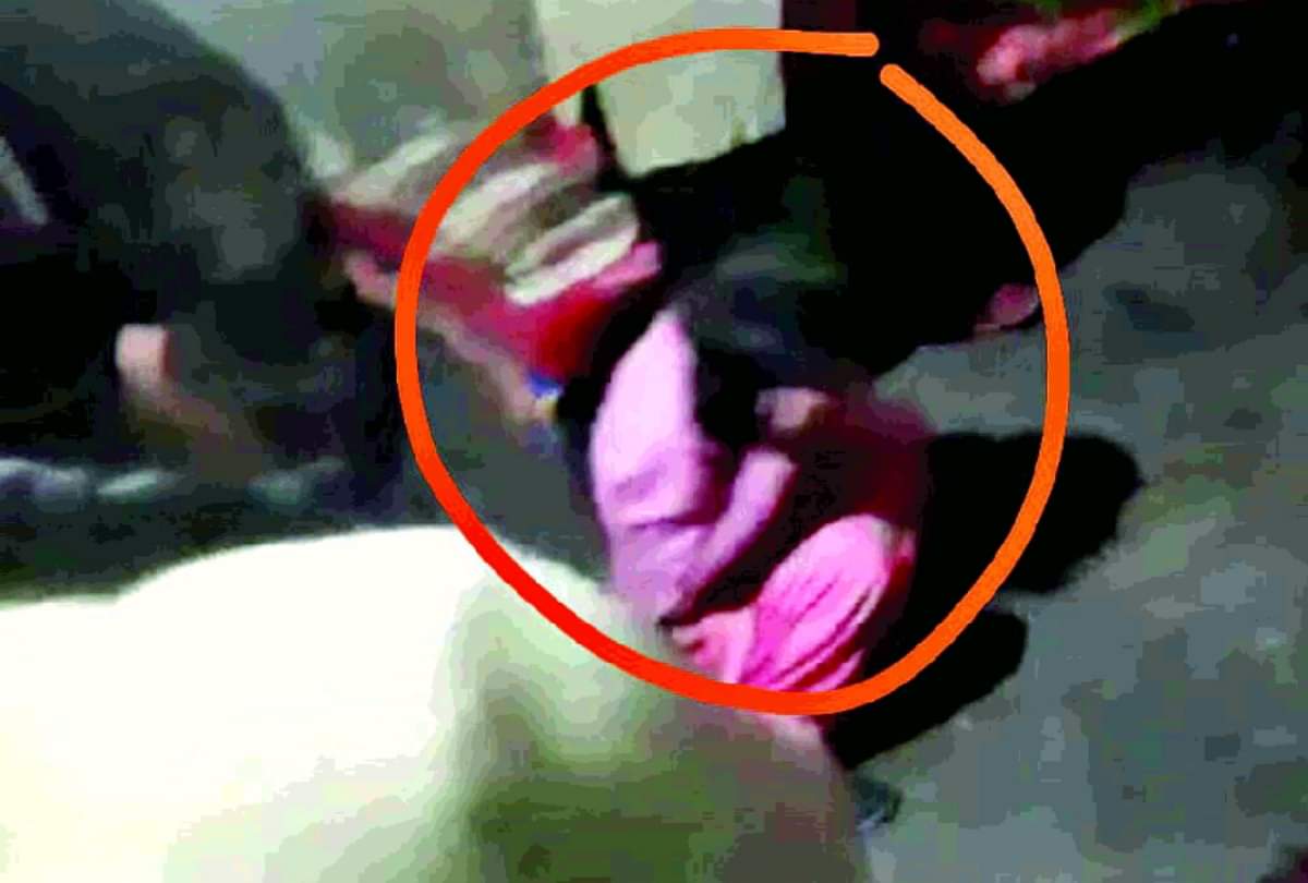 दिल्ली में दरिंदगी की हदें पार: महिला को पीटकर किया अधमरा, कैंची-उस्तरे से काटे बाल, वायरल वीडियो उड़ा देगा आपके होश Delhi vivek vihar sexual assault case Woman brutally beaten up hair cut with scissor-razor