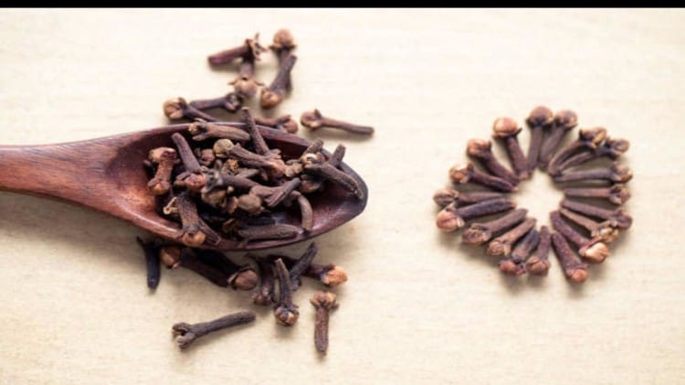 Mehndi Tips: अगर चाहिए मेहंदी का गाढ़ा रंग तो अपनाएं दादी-नानी के बताए घरेलू नुस्खे mehndi tips how to darken your mehndi colour mehndi ka rang dark kaise kare
