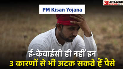 PM Kisan Yojana: ई-केवाईसी के अलावा ये हैं वो गलतियां, जिनके कारण अटक सकती है 12वीं किस्त PM Kisan 12th Installment Get Stuck Know What to Avoid after EKYC Online