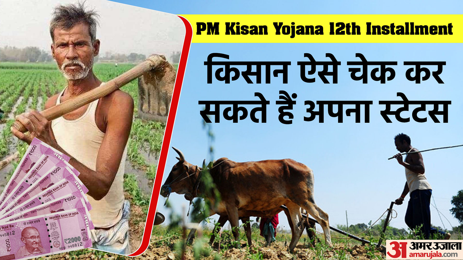 Pm Kisan Yojana 12th Installment Latest Update Know How To Check 12