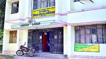Mainpuri: उद्यान विभाग किसानों को देगा आलू का नया बीज, पंजीकरण के लिए यहां करें संपर्क Horticulture department will give new potato seeds to farmers in Mainpuri