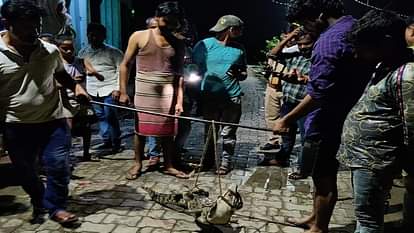 Kasganj: नाली में घूम रहा था मगरमच्छ, लोगों ने रस्सी से बांध लिया Crocodile in drain people tied with rope in kasganj