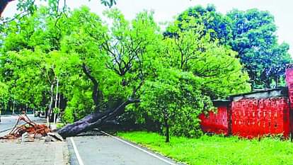 Chandigarh News: मानसून के आखिरी दौर में 24 घंटे में 120.6 MM बरसात, 10 साल का रिकॉर्ड टूटा Rain breaks 10 year record in Chandigarh