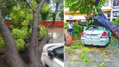 Chandigarh News: मानसून के आखिरी दौर में 24 घंटे में 120.6 MM बरसात, 10 साल का रिकॉर्ड टूटा Rain breaks 10 year record in Chandigarh