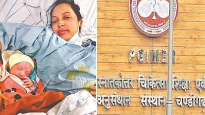 Chandigarh: PGI में किडनी व पैनक्रियाज प्रत्यारोपित ने दिया बच्ची को जन्म, दावा- देश का यह पहला मामला Woman gave birth to a baby girl after kidney and pancreas transplant