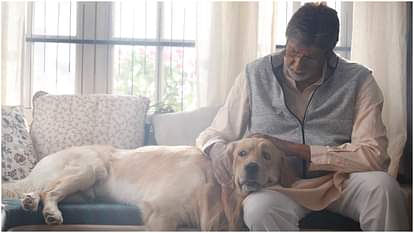 GoodBye Review: अमिताभ बच्चन का बर्थडे पर एडवांस रिटर्न गिफ्ट, विकास बहल से नहीं संभली लीक से इतर कहानी GoodBye Review Hindi Amitabh Bachchan Neena Gupta rashmika mandanna Vikas Behl Pavel Gulati Ashish Vidyarth