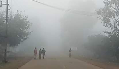 Rewari News: ठंड बढ़ने से रबी की फसलों को होगा फायदा, रोग भी नहीं लगेगा Rabi crops will be benefited due to increase in cold, diseases will also not be affected