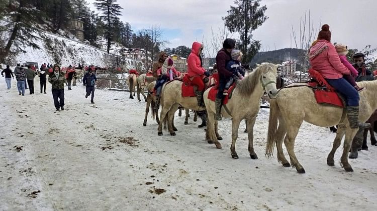 Himachal Weather: कुफरी, नारकंडा, रोहतांग में ताजा बर्फबारी, पर्यटकों ने की खूब मस्ती Himachal Weather Update 481 Road Blocked 2223 Power Transformer And 19 Water Supply Schemes Disrupted
