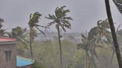 Weather: दो दिन में केरल में दस्तक दे सकता है मानसून, कृषि क्षेत्र के लिए सबसे अधिक महत्वपूर्ण है अच्छी बारिश monsoon can enter in kerala within two days good Rain is must for Agriculture Sector