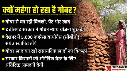 Dung Price: तेजी से बढ़ रही गोबर की कीमत, सरकार के इस फॉर्मूले से आम लोगों के साथ किसानों को मिलेगा ये फायदा Dung Price: price of cow dung is increasing rapidly, government formula will give the benefit to the farmers
