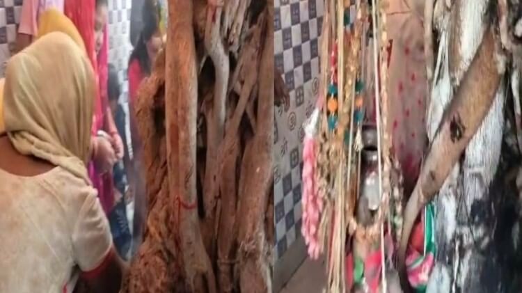 Sawan Somvar: अचानक फोटो खिंचवाने के लिए इस शिव मंदिर में भक्त लगाने लगे दौड़, जलाभिषेक के दौरान हुई ऐसी घटना Sawan Somvar 2023 Shiva temple Rudrapur huge crowd gathered on seeing shape of eyes in Shivling Uttarakhand