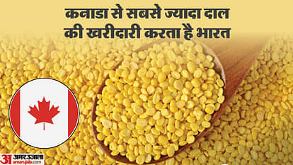 खालिस्तान: कनाडा-भारत के रिश्तों में खटास का परिणाम दिखेगा बाजार पर, दाल पर दिखाई दे सकता है असर Khalistan: tensions in india canada relations will be visible in the market, impact may be visible on pulses