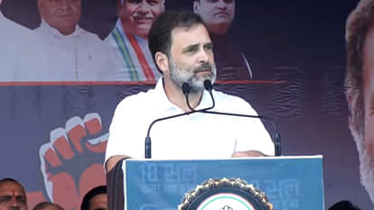 Rahul Gandhi: ओबीसी आरक्षण, जाति जनगणना से लेकर भ्रष्टाचार तक, शाजापुर रैली में भाजपा सरकार पर जमकर बरसे राहुल Rahul Shajapur Rally Highlights From OBC Reservation And Caste Census to Corruption Key Points