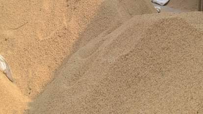 Paddy procurement: हिमाचल में 26 दिसंबर तक जारी रहेगी धान खरीद, किसानों के खातों में जमा किए 48.08 करोड़ Paddy procurement will continue in Himachal till December 26, government deposited Rs 48.08 crore in the accou