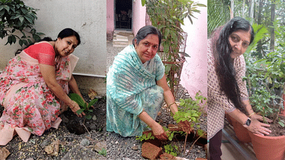 Nature: स्कूल, सड़क से लेकर पहाड़ों तक पौधे लगा रहे प्रकृतिप्रेमी, घरों में पौधे तैयार कर दूसरों को दे रहे green planet oxygen save tree plantation