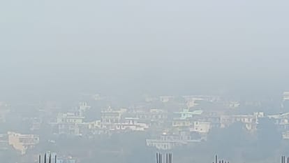 Uttarakhand Weather: मैदान में चटख धूप के साथ हुई दिन की शुरुआत, पहाड़ों में कोहरे और शीतलहर ने बढ़ाई परेशानी Uttarakhand Weather Update Today Cold wave In Hilly areas and Coldness