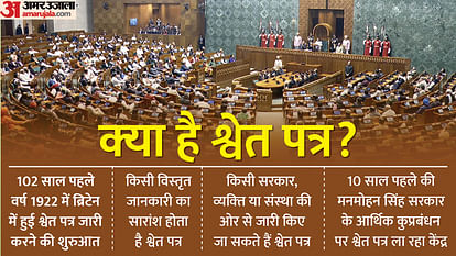 What is White Paper? For Which India's budget session extended by a day