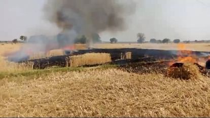 Damoh News: हिनौती ठेंगापटी गांव में शॉर्ट सर्किट से गेहूं की फसल जलकर राख, ग्रामीणों ने खुद बुझाई आग