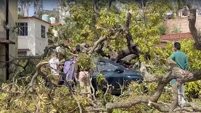 Himachal Weather: हिमाचल में अंधड़ ने ली तीन की जान, 19 वाहन क्षतिग्रस्त, दस भवनों की छतें उड़ीं Himachal weather: Storm caused havoc in state: Roofs of houses blown away, wheat crop scattered in fields, tre