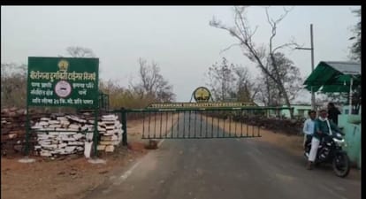Tiger Reserve: कल से नौरादेही अभयारण्य की सीमा में बड़ा बदलाव, रात के समय कार सहित बड़े वाहनों का प्रवेश बंद
