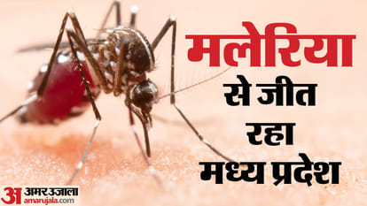 World Malaria Day: 96 percent cases of malaria have reduced in the last 6 years in Madhya Pradesh