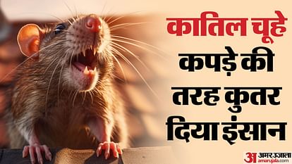 Rats gnawed the sleeping person to death blood flowing from mouth hands and eyes