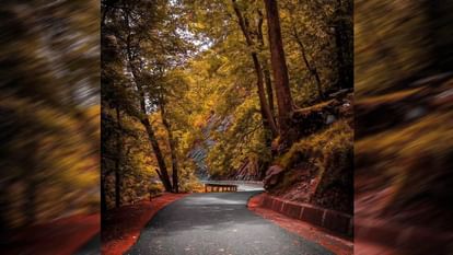 Gangotri Dham: बर्फ से ढकीं चोटियां...नदियां, झरने और जंगल, कीजिए दीदार..खूबसूरत हर्षिल घाटी को आपका इंतजार Chardham Yatra 2024 Gangotri Dham Harshil Valley is world famous for its natural beauty Watch Photos