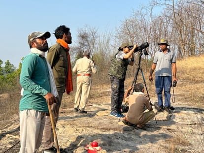 Umaria News Vulture count completed in Bandhavgarh 343 vultures found in the count