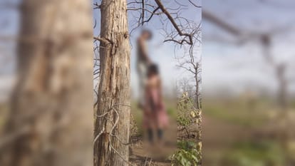 Sagar News bodies of young man and woman were found hanging from same noose on tree in forest