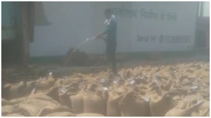 MP News: Government wheat soaked with water at the procurement center in Sagar video viral