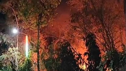 Katni News Fire breaks out in scrap yard of Everest Company many trees burnt