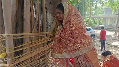 Vat Savitri Vrat Niyam: अगर पहली बार रख रहे हैं वट सावित्री व्रत, तो जान लें इसके नियम Vat Savitri Vrat 2025 Rules Mistakes To Avoid Before Observing Fast Vat Savitri Vrat Ke Niyam