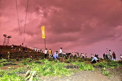 Indore: रेवती रेंज पर लगा दिए 12 लाख पौधे, अब उन्हें नील गाय से बचाने के लिए लगेगी जालियां Indore: 12 lakh saplings planted on Revati range, now nets will be installed to protect them from Nilgai.