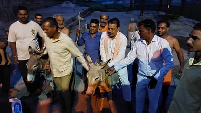 Mandsaur: Magic spell for rain! The village head was taken for a ride on a donkey