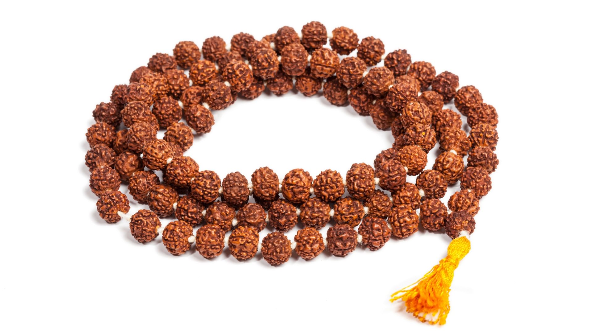 Sawan 2024 Benefits Of Wearing Rudraksha Know Rudraksha Ke Niyam Amar