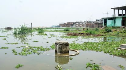 Prayagraj Flood Update : गंगा की रफ्तार थमी पर निचली इलाकों में बाढ़ का खतरा बरकरार, पलायन की तैयारी Prayagraj Flood Update: Ganga's speed has slowed down but flood threat persists in low lying areas